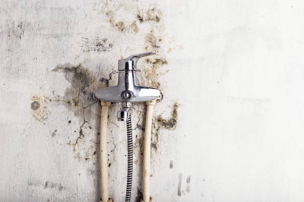 Best Residential Mold Removal  in Lawnside, NJ
