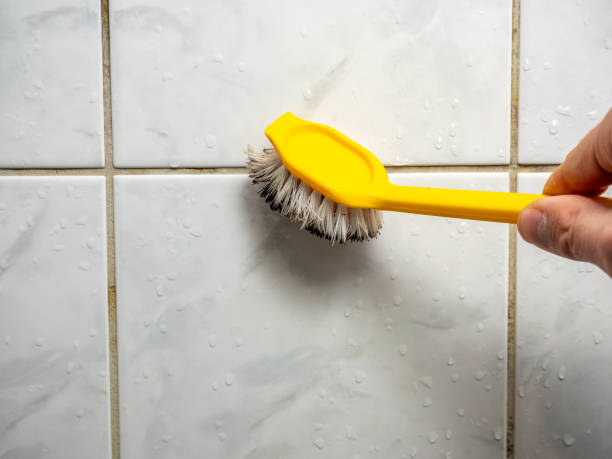 Best Mold Damage Repair  in Lawnside, NJ