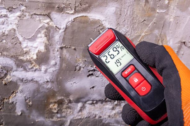 Best Mold Testing  in Lawnside, NJ