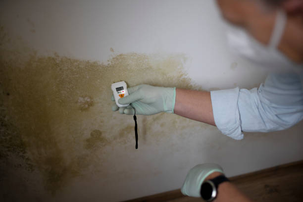 Best Crawl Space Mold Removal  in Lawnside, NJ