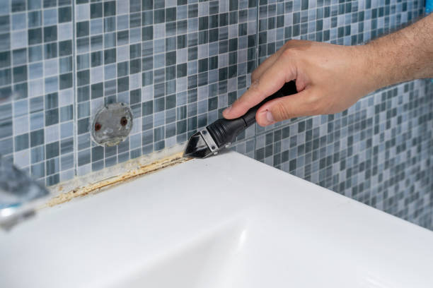 Best Professional Mold Removal  in Lawnside, NJ