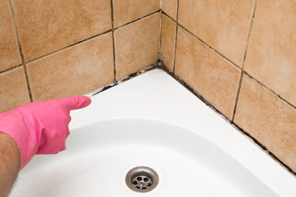 Best Mold Cleaning Services  in Lawnside, NJ